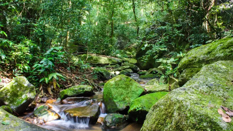 Brasil em 2025: Fim da transmissão vertical do HIV e queda da pobreza