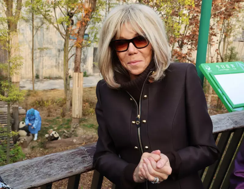 Brigitte Macron reencontra panda 'afilhado' na China durante visita oficial
