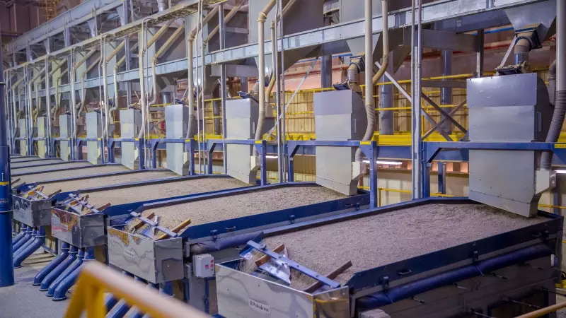 Café brasileiro supera tarifa dos EUA e fecha 2025 com receita recorde