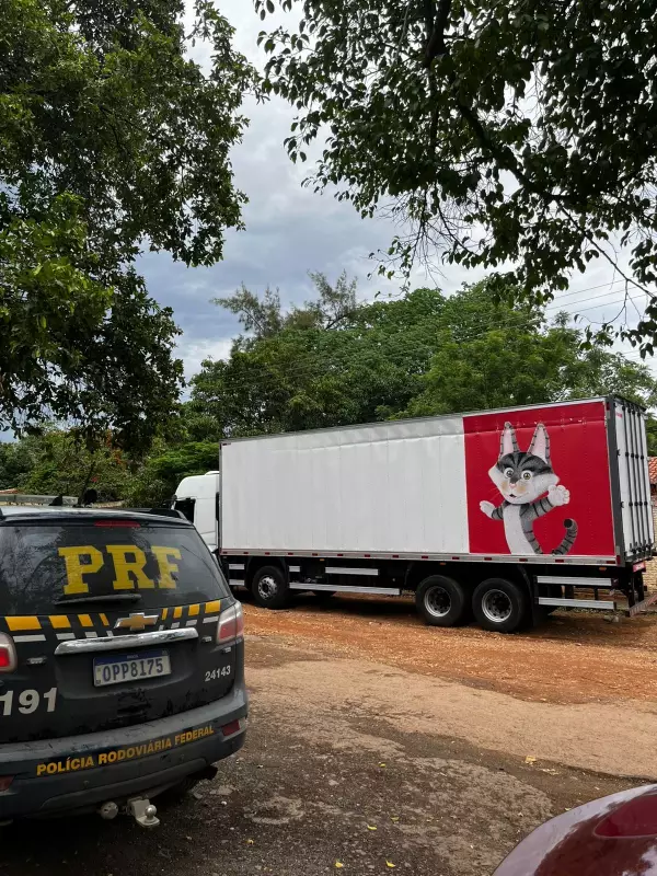 Caminhão furtado em Bom Despacho é recuperado em Montes Claros