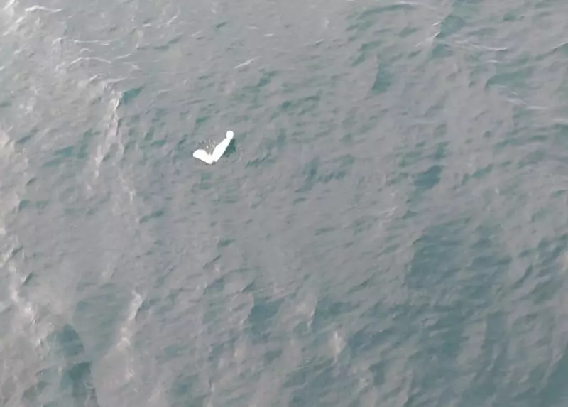 Cenipa aponta pane seca como causa de queda de avião em Ubatuba em 2021