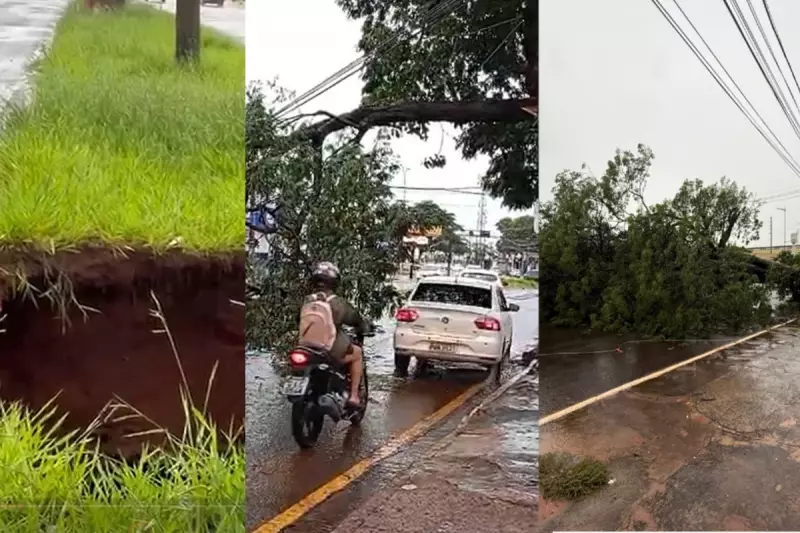 Chuva intensa abre cratera e derruba árvore em Campo Grande