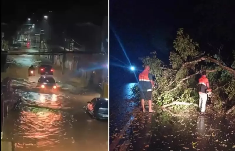 Chuvas intensas causam alagamentos e queda de árvore no Noroeste Fluminense