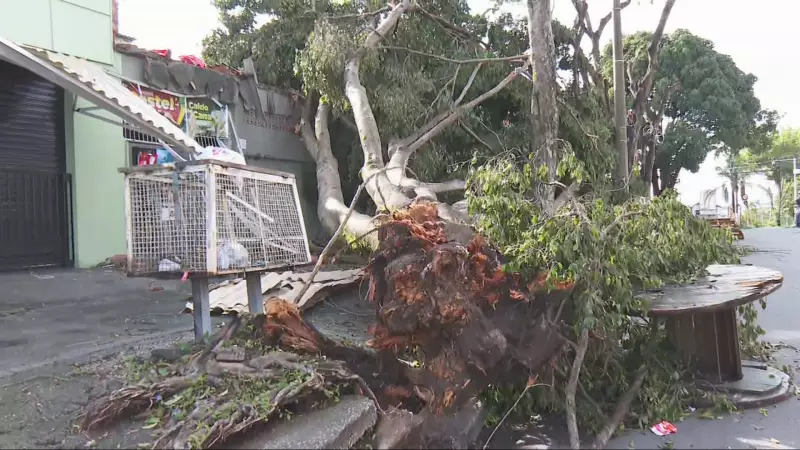 Chuvas intensas de até 100 mm por dia atingem Minas Gerais até quarta