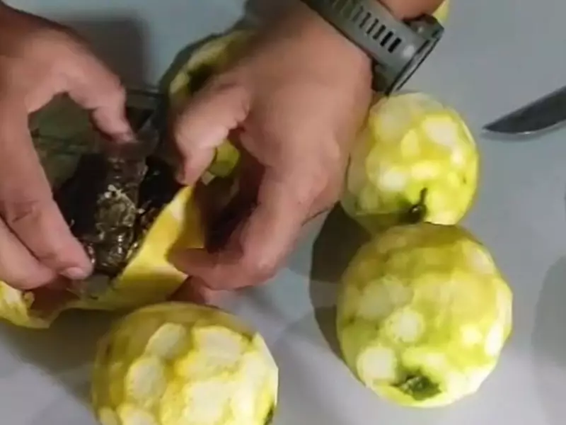 Cinco mulheres presas com drogas em laranjas em presídio do Acre