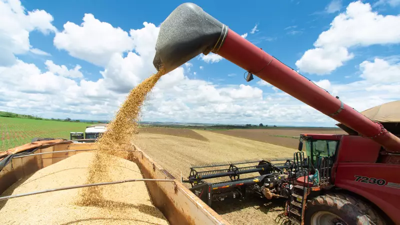 CNA prevê 2026 desafiador para agronegócio com possível aumento de impostos