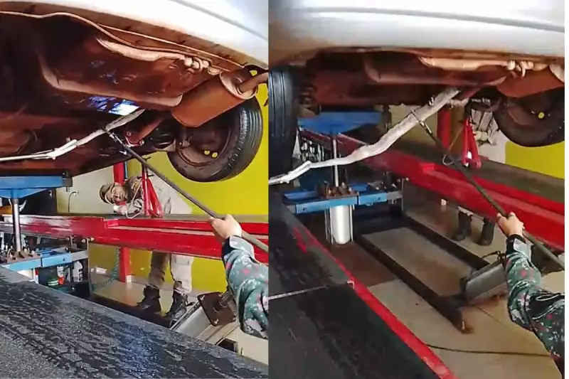 Cobra é resgatada de dentro de carro em Dourados após operação dos bombeiros