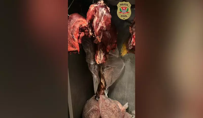 Comerciante preso após apreensão de 30 kg de carne imprópria em açougue de SP