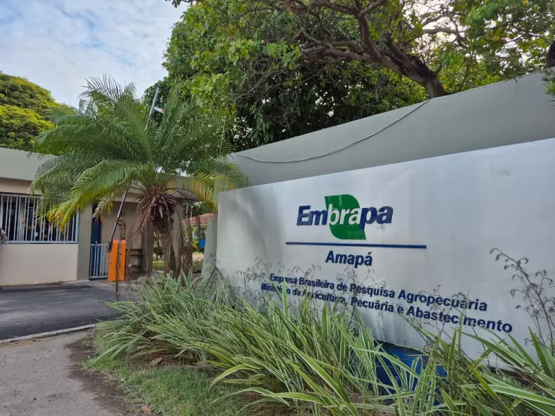 Congresso mantém veto e garante BPC para deficiências leves