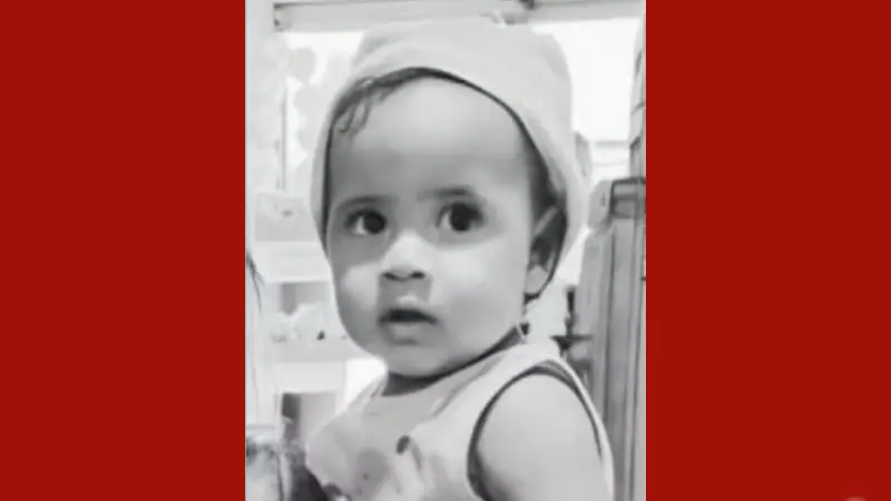 Criança de 2 anos morre após ataque de abelhas italianas no Pará