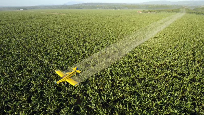 Crise climática aumenta uso de pesticidas e ameaça saúde global