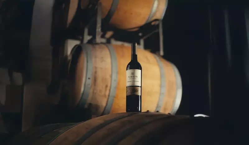 DNA revela: Cabernet Franc é a mãe das uvas famosas de Bordeaux