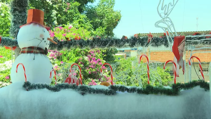 Em São João de Meriti, moradora dedica uma semana para transformar casa em cenário natalino