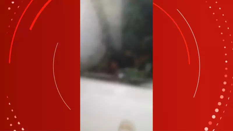 Execução filmada em Macapá: jovem é morto a tiros e corpo jogado em lago