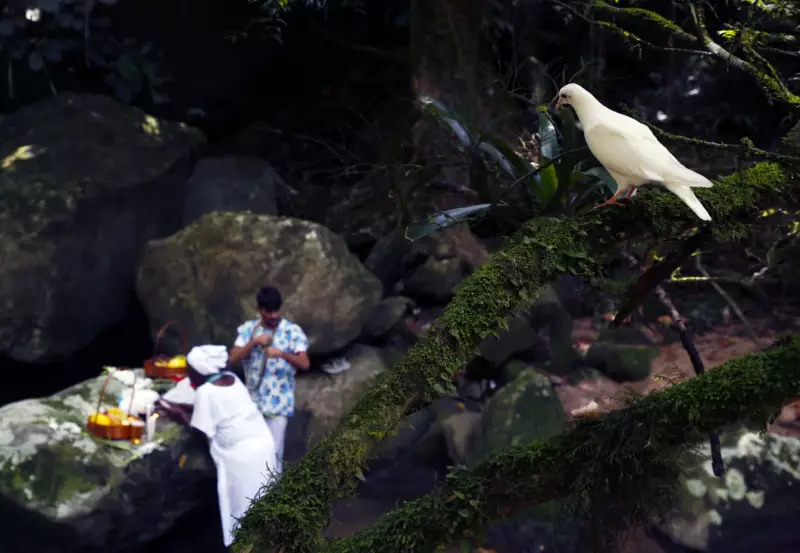 Exposição Imagens do Beco transforma Tavares Bastos em galeria a céu aberto