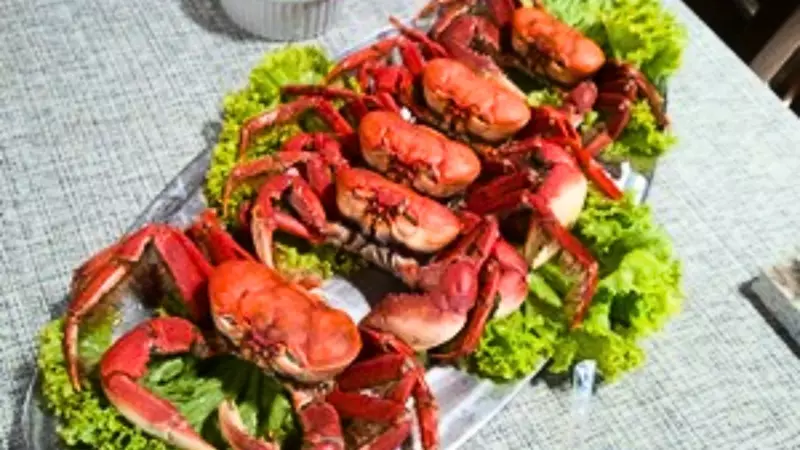 Festival do Caranguejo em Aracaju reúne 15 restaurantes de 4 a 7 de dezembro