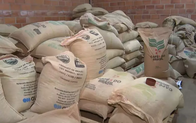 Fim da tarifa de 40% dos EUA reanima exportações de café de Franca (SP)