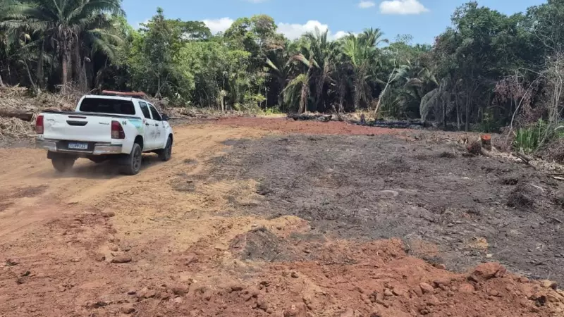 Fiscais flagram desmatamento ilegal em APP de riacho em Terresina