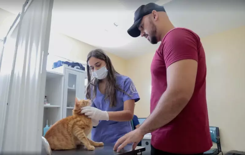 Fortaleza vacina mais de 320 mil animais e promove 4º Dia D gratuito contra raiva