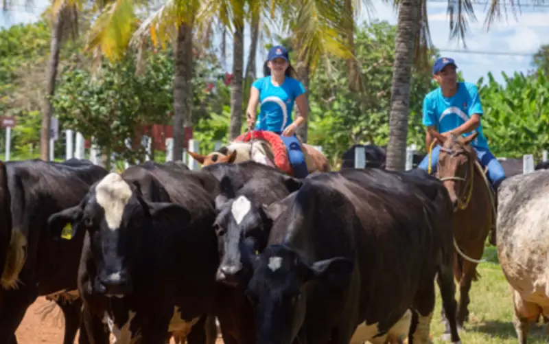 Fundação Bradesco abre 35 vagas para curso técnico gratuito em agropecuária em Feira de Santana