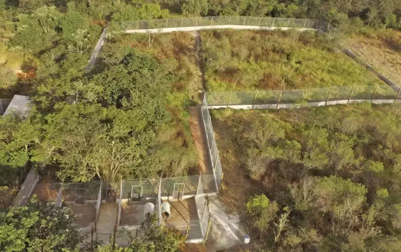 Futuro da Associação Mata Ciliar em Jundiaí vira disputa judicial