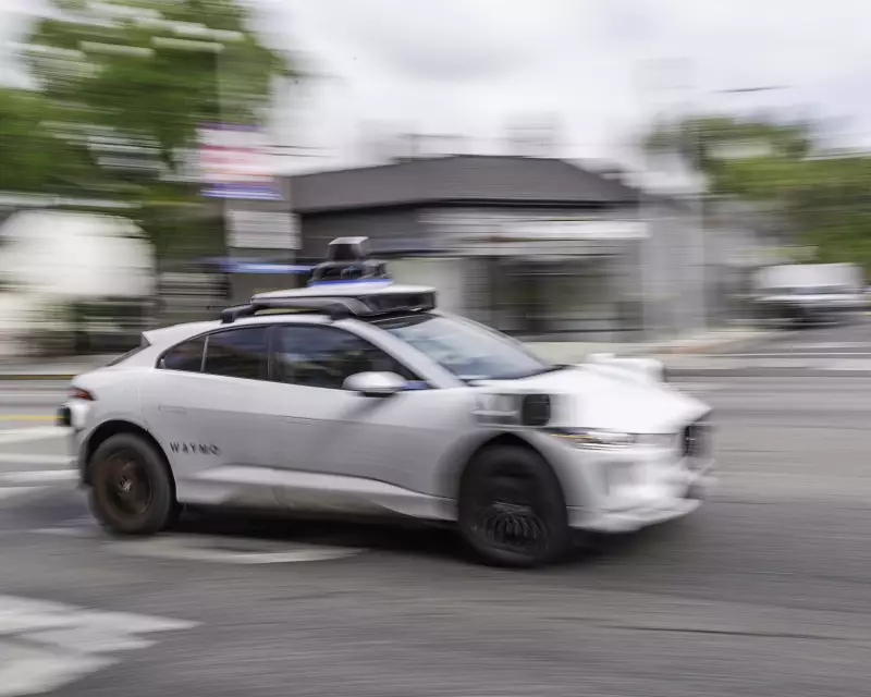 Gato 'prefeito' morto por robô-táxi da Waymo gera revolta em São Francisco