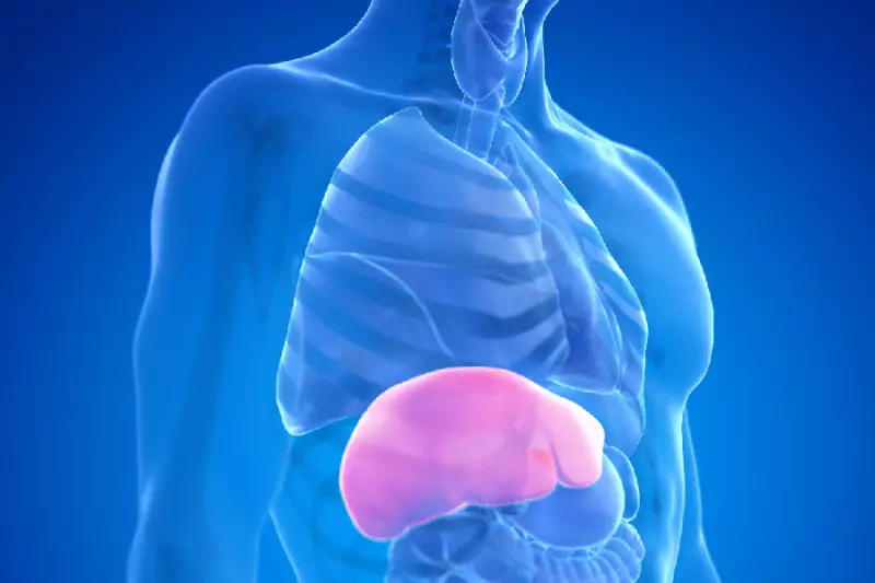 Gordura no fígado: 5 alimentos para priorizar e 4 para evitar na dieta