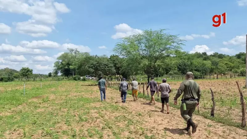 Homem de 41 anos é resgatado após 30 horas desaparecido em mata no Piauí