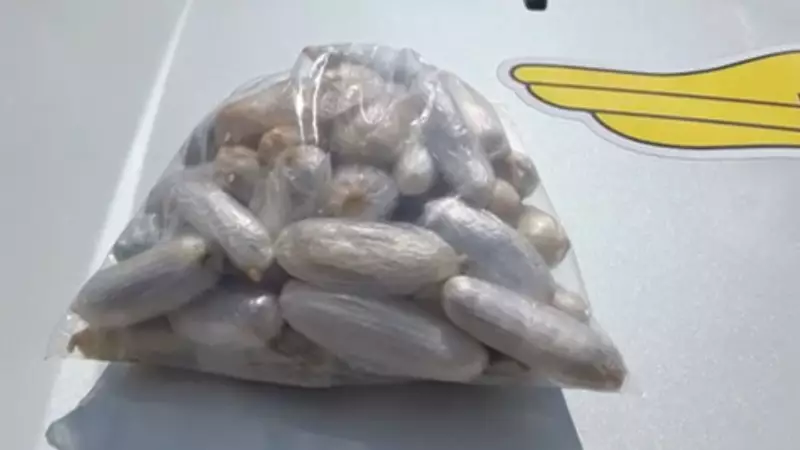 Homem ingere 90 cápsulas de droga e é preso após 60 horas em observação em Araçatuba