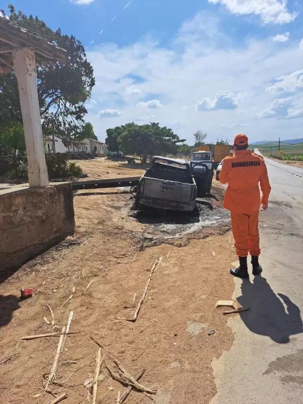 Homem morre em colisão e carro carboniza após derrubar poste em Ibateguara