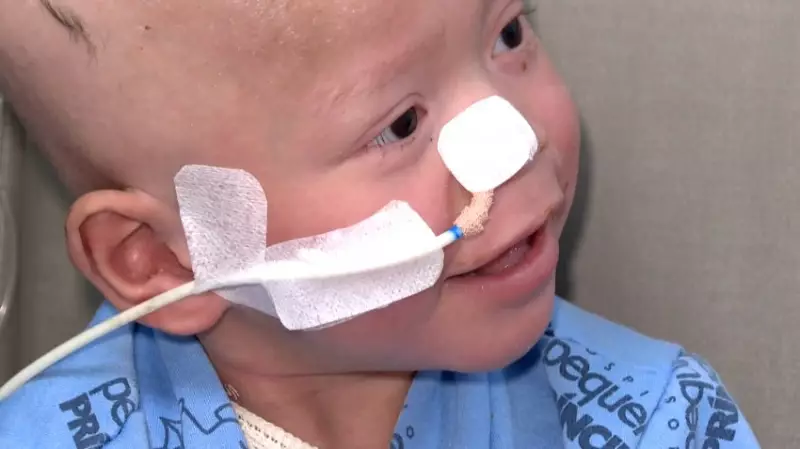 Hospital de Curitiba celebra 600 transplantes de medula óssea com caso de sucesso