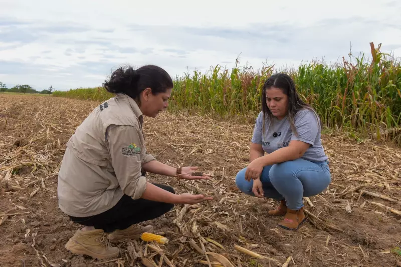 Iater abre 80 vagas temporárias em Roraima com salários de até R$ 7,9 mil