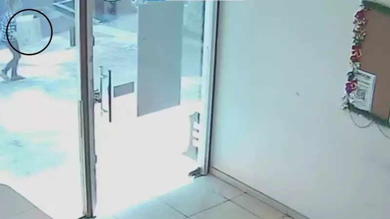 Idosa de 78 anos presa por abandonar filhotes de gato em Procon de Rio Preto