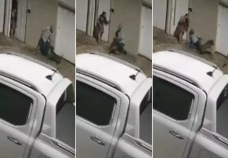 Idoso de 83 anos perde dedos após ataque de pitbull solto em Palmas