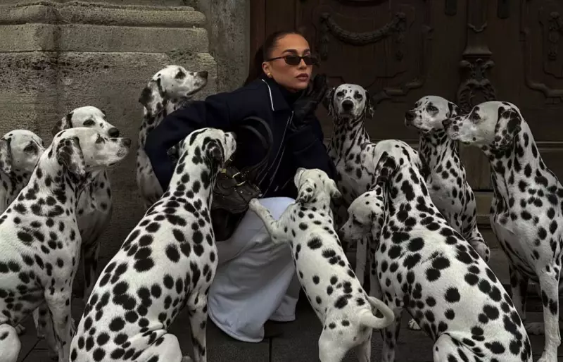 Influenciadores usam pets de IA para aumentar engajamento nas redes