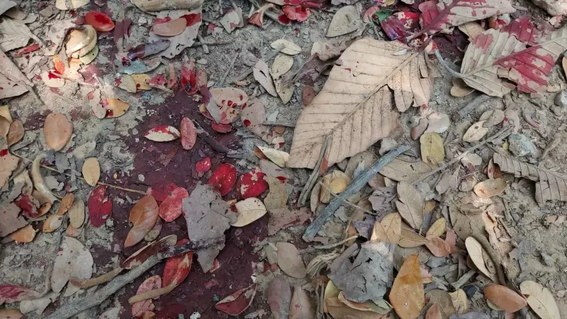 Irmão mata irmão a tiros em Guarujá após briga por água durante Operação Verão