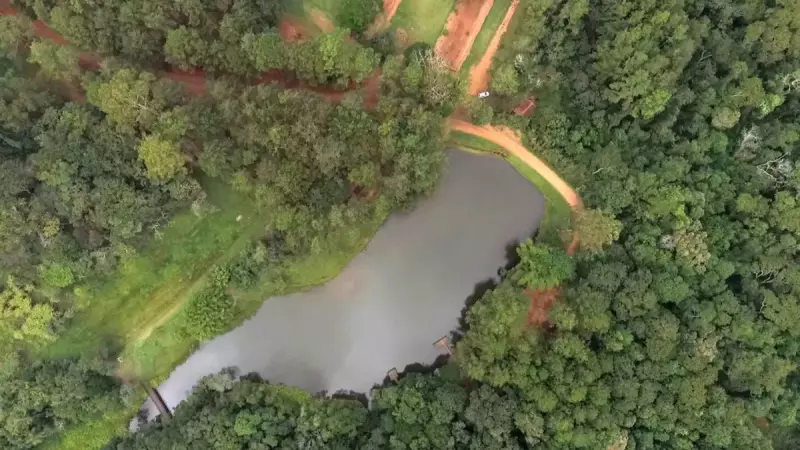 Jacaré exótico interdita Horto Florestal de Manduri (SP) em emergência