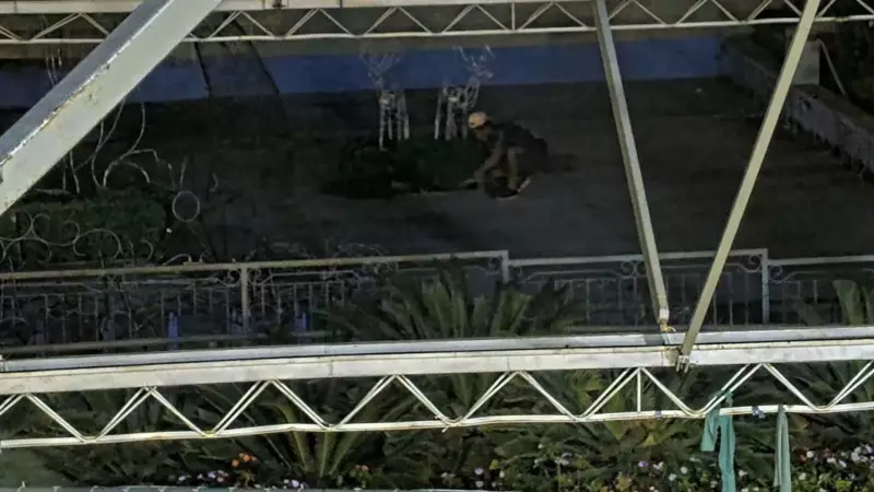 Jovem de 25 anos é preso ao furtar 30 metros de fios de iluminação de Natal em praça de Rio Preto