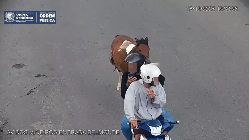 Jovens puxam cavalo com moto em Volta Redonda e são presos por maus-tratos