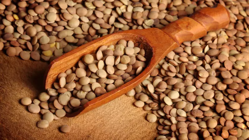 Lentilha: a história de 8 mil anos do grão da prosperidade no Ano-Novo