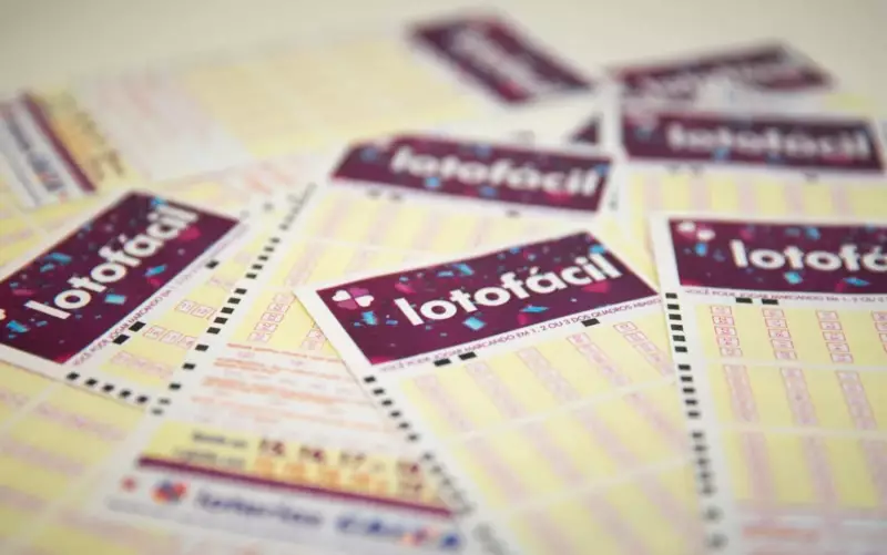 Lotofácil 3554: Apostador de Terra Roxa (PR) fatura R$ 321 mil