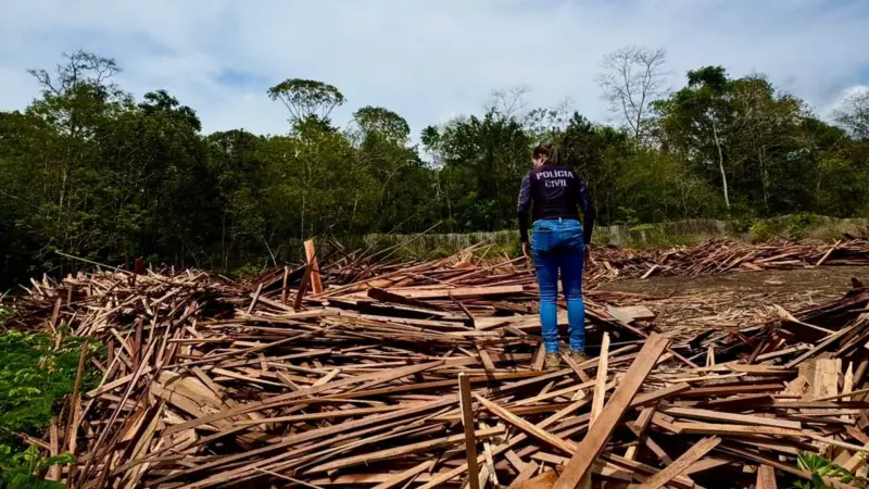 Maior apreensão de madeira ilegal da história de Mazagão: polícia flagra toneladas