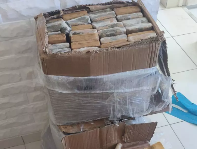 Mais de 100 quilos de drogas apreendidos em operação da PM em São Cristóvão