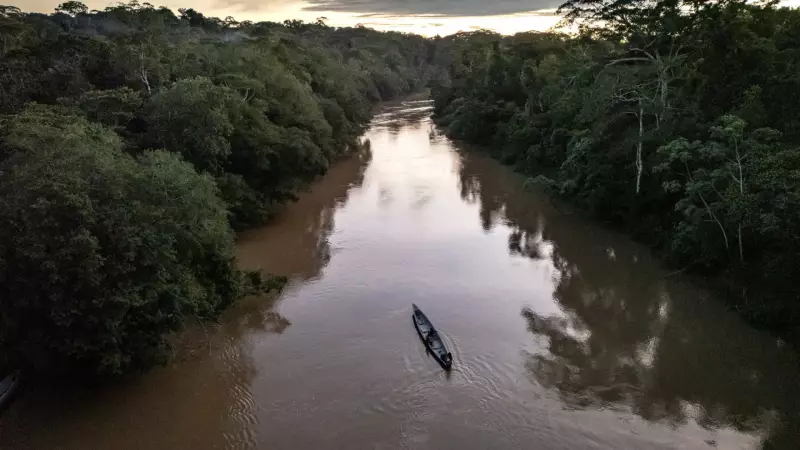Menina de 2 anos morre atacada por piranhas após cair em rio no Amazonas