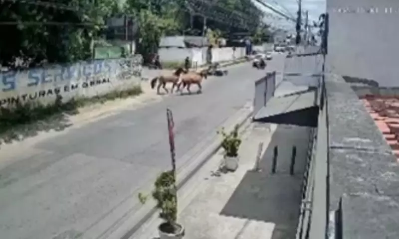 Motociclista ferido após colidir com três cavalos soltos em Feira de Santana