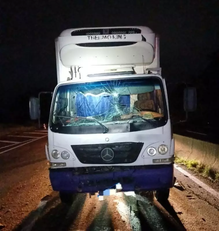 Motorista é preso por embriaguez na Dutra após atropelamento de boi