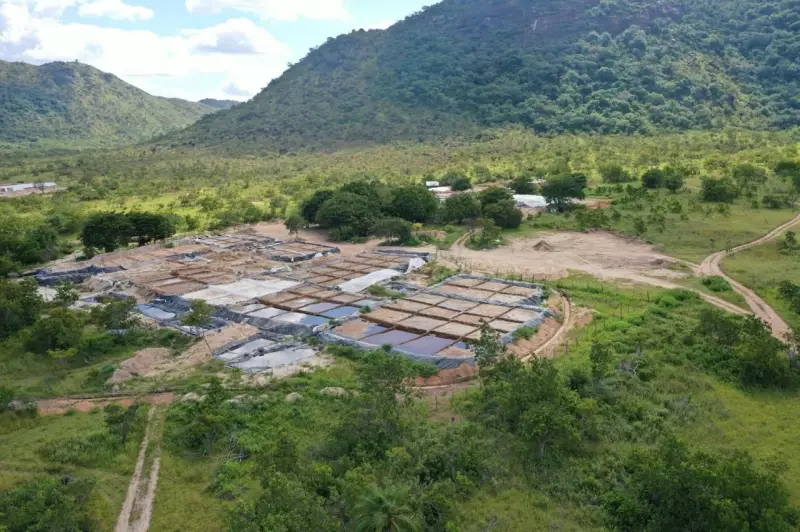 MPF recomenda plano com Guiana contra garimpo ilegal e 'piscinas de cianeto' em RR