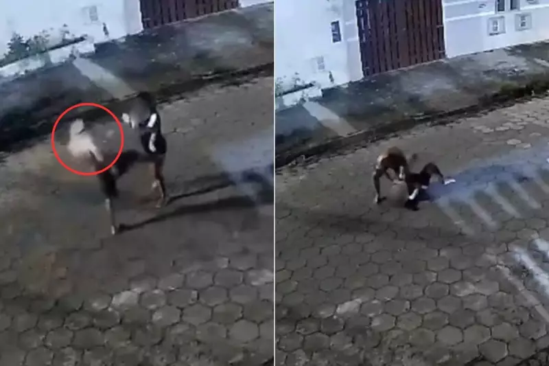 Mulher é espancada até desmaiar por companheiro em Itanhaém, SP