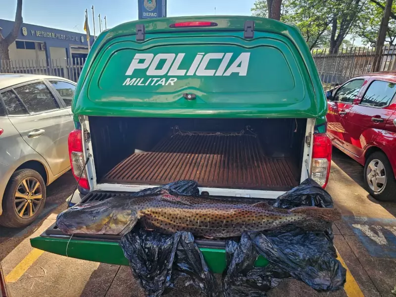 Multa de R$ 33 mil por pescar pintado de 21 kg durante Piracema em MS