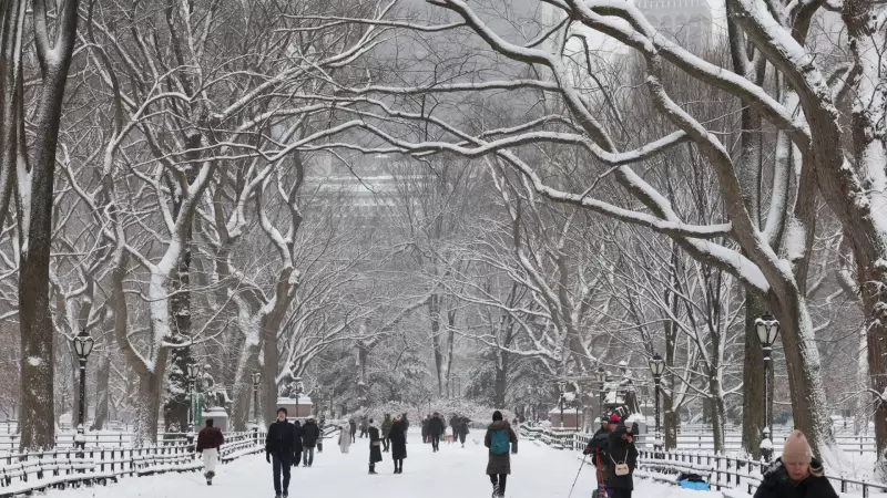 Nova York decreta emergência com maior nevasca desde 2022; 23 cm de neve